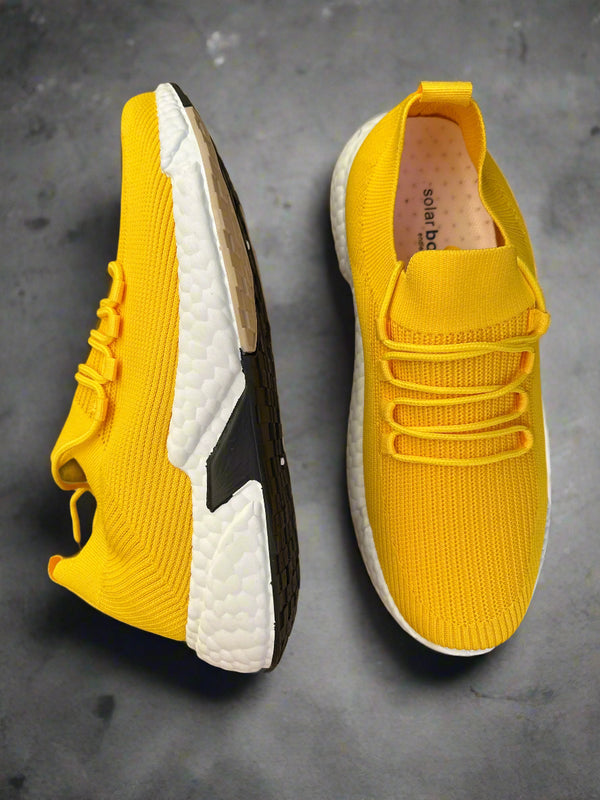 Solar Boost 9505 Series – Energy That Moves With You ⚡