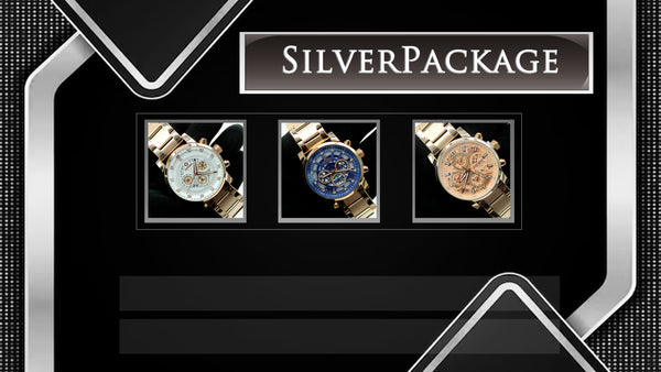 Pinasaya Silver Package Assorted original watches